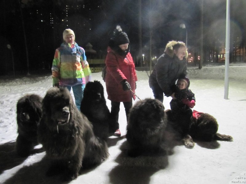 Фотография № 241448