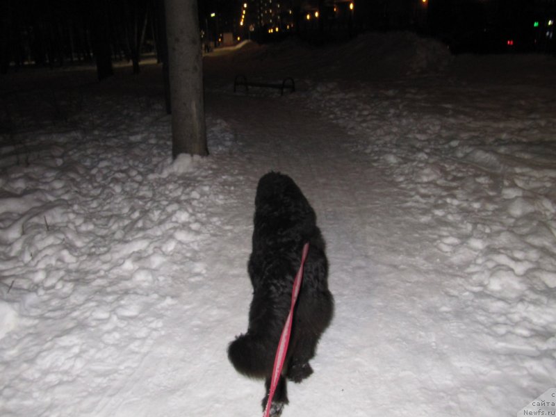 Фотография № 241449