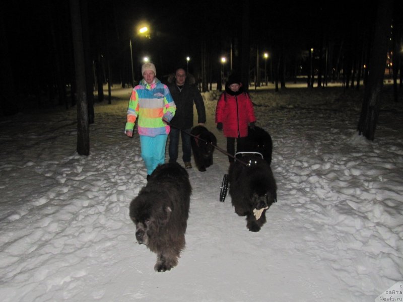 Фотография № 241450