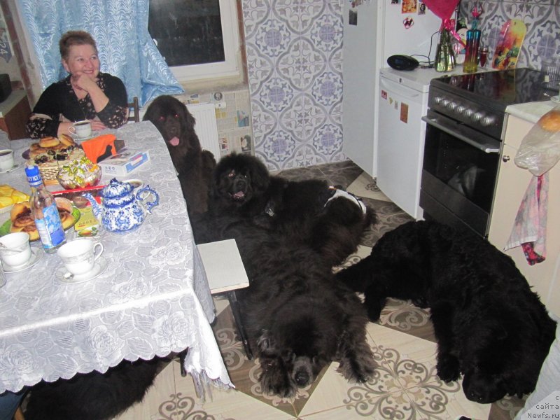 Фотография № 241451