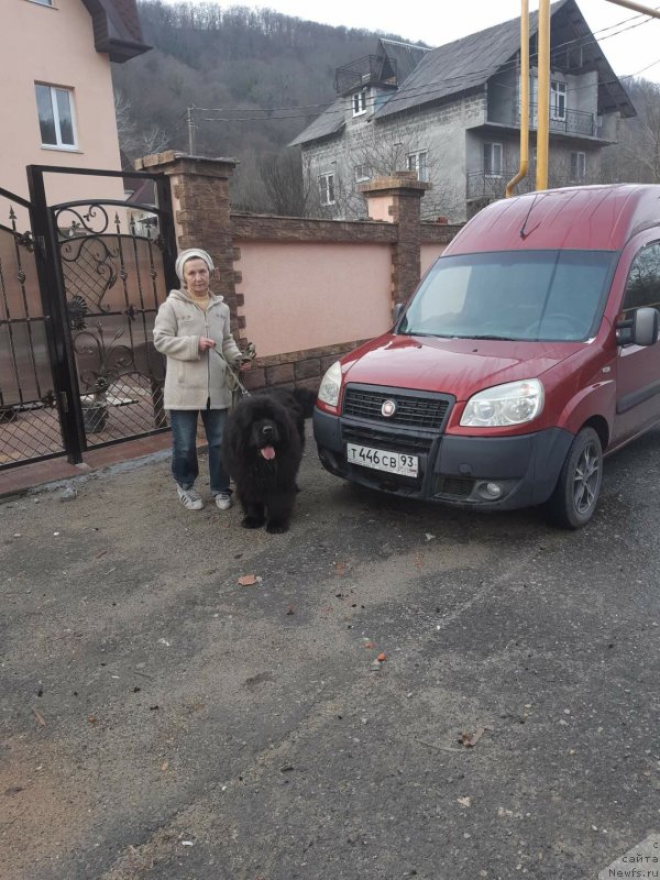 Фотография № 241455