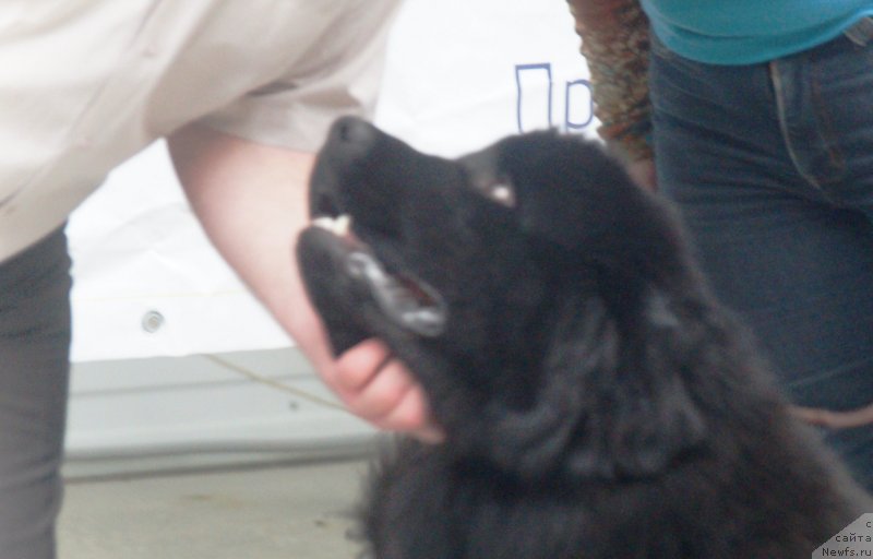 Фотография № 241513