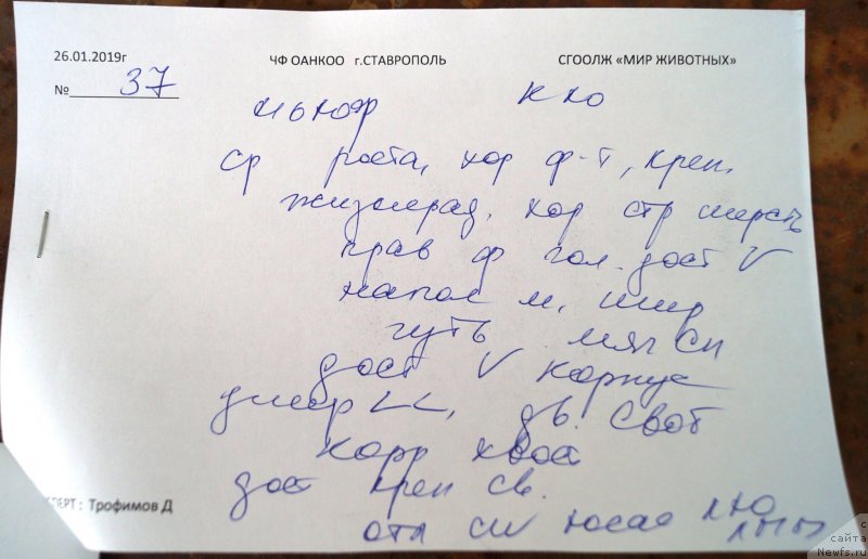 Фотография № 241515