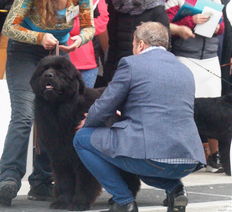 Фотография № 241516