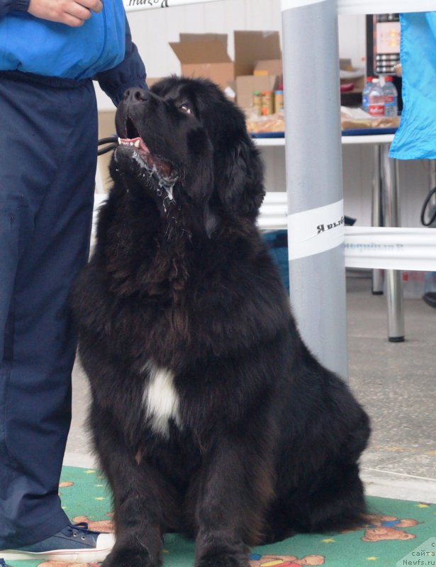 Фотография № 241524