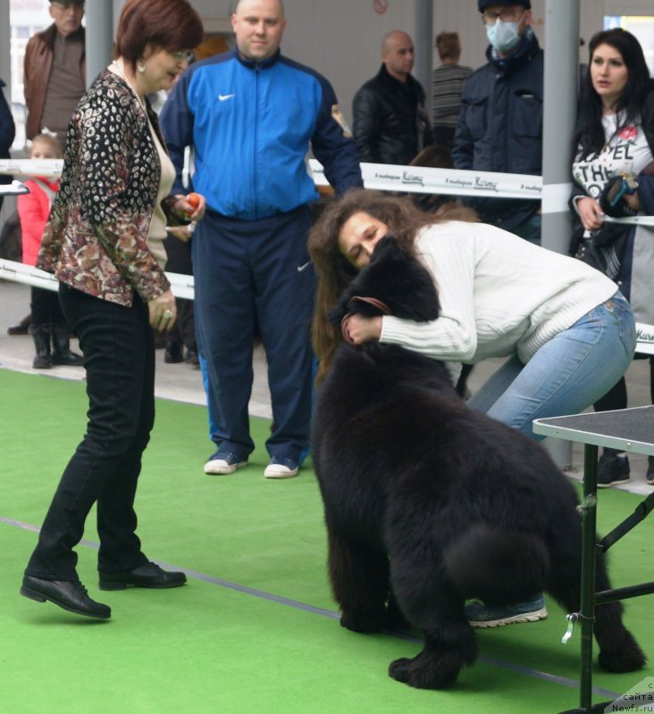 Фотография № 241528