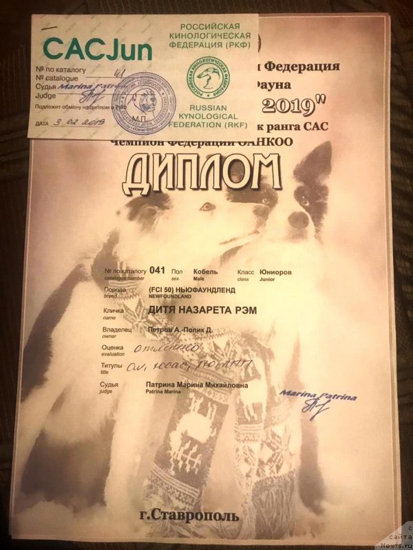 Фотография № 241529