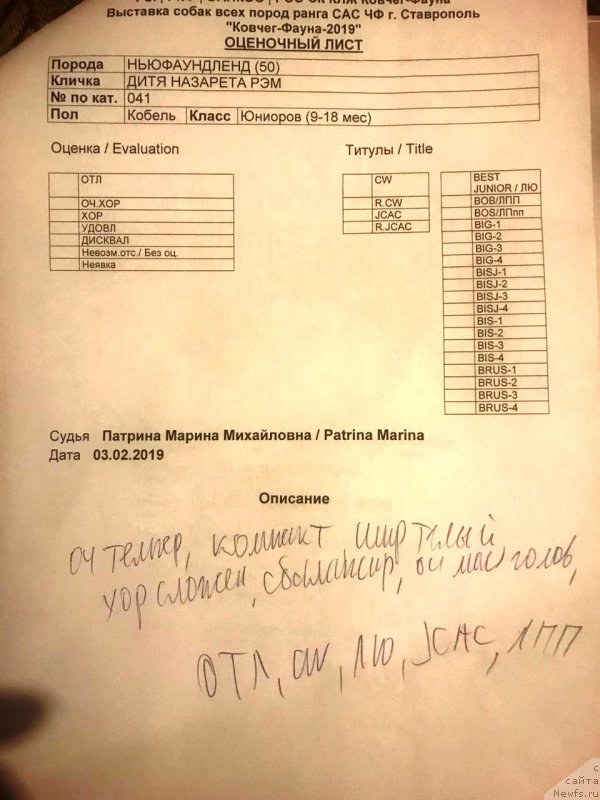 Фотография № 241530