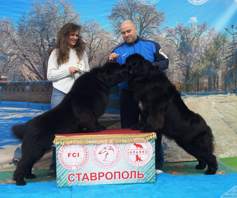 Фотография № 241532