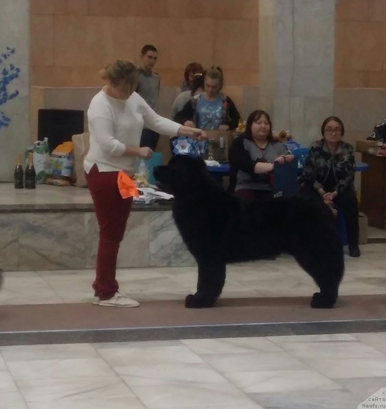 Фотография № 241549