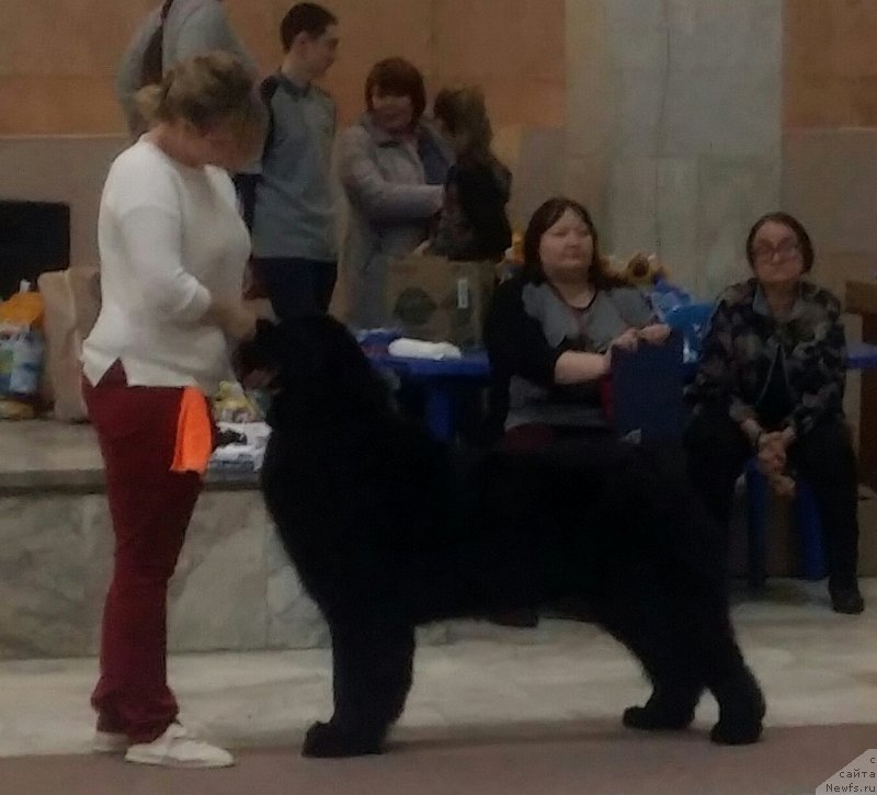 Фотография № 241550