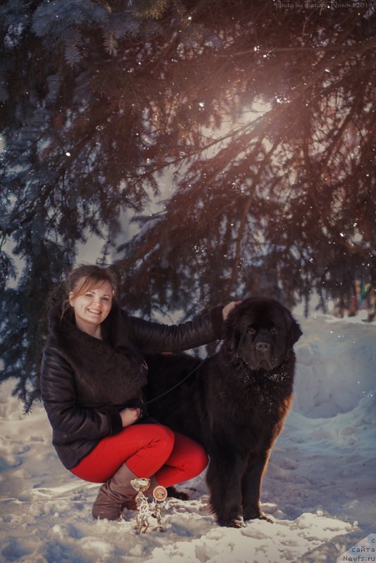 Фотография № 241551