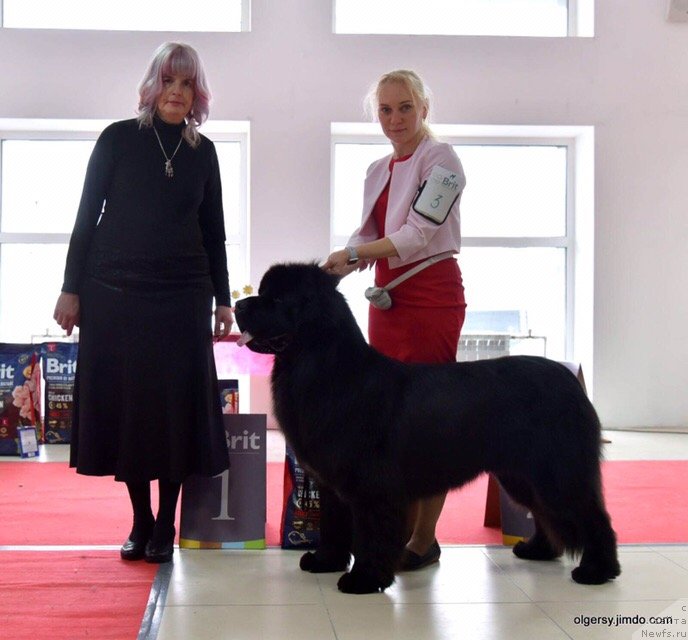 Фотография № 241553