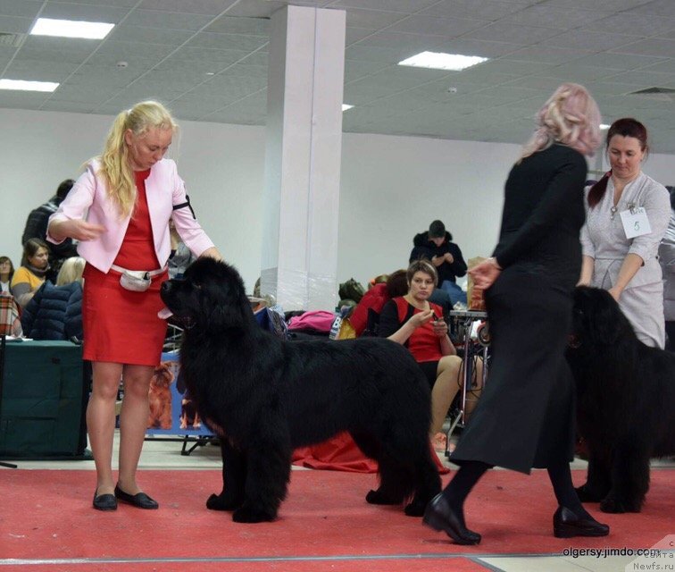 Фотография № 241554