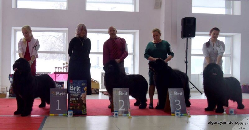 Фотография № 241555