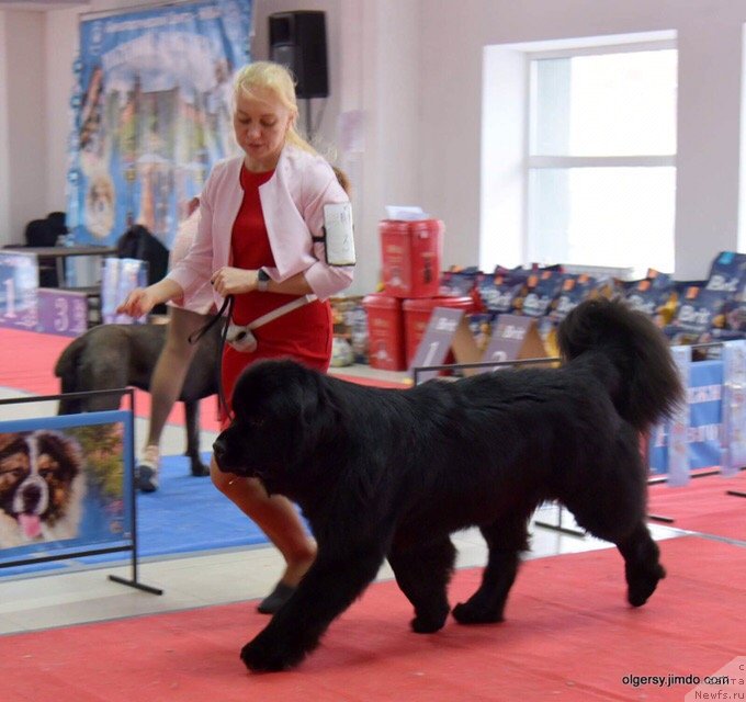 Фотография № 241556