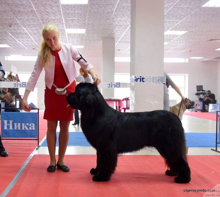 Фотография № 241557