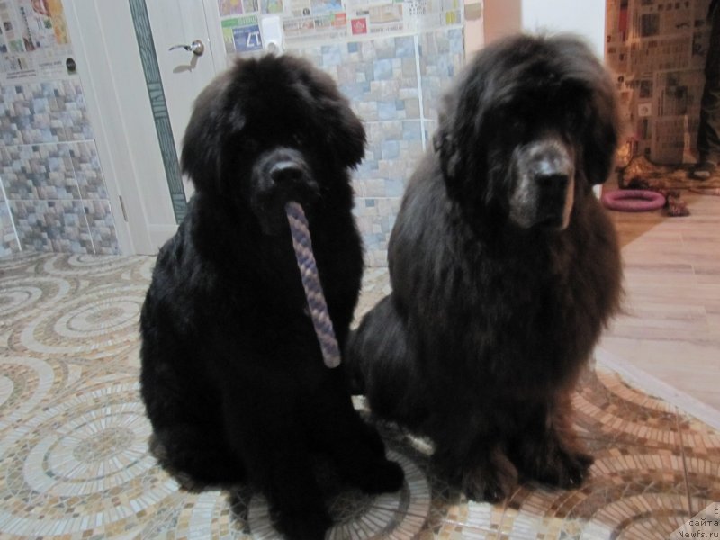 Фотография № 241567