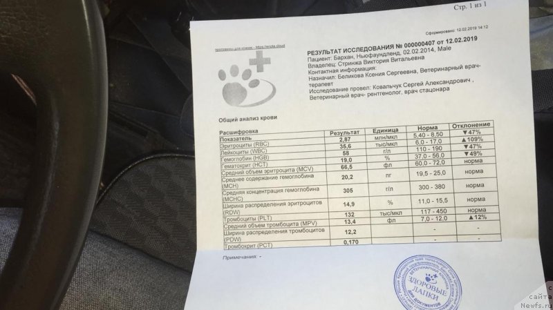 Фотография № 241600