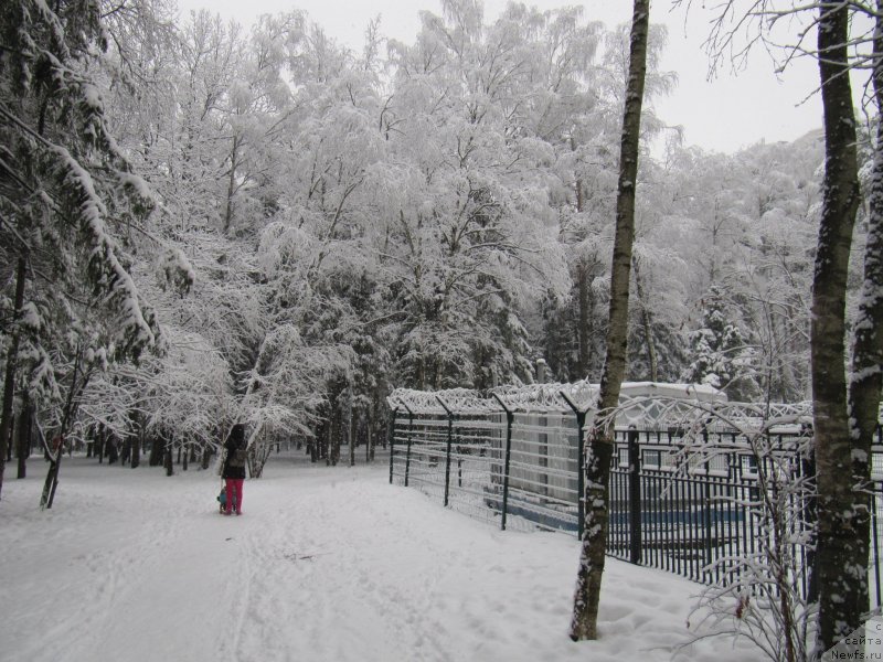 Фотография № 241610