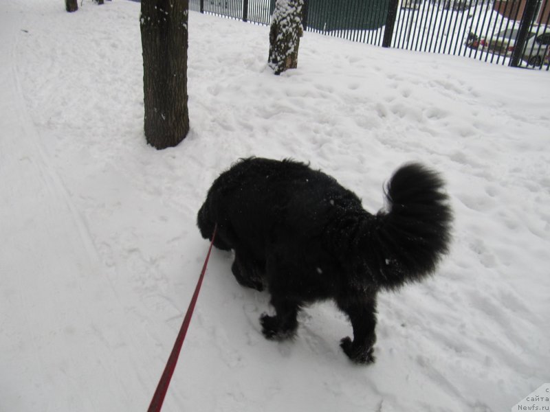 Фотография № 241611