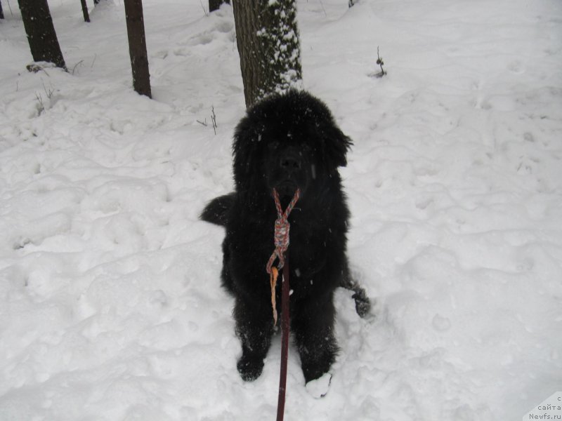 Фотография № 241613