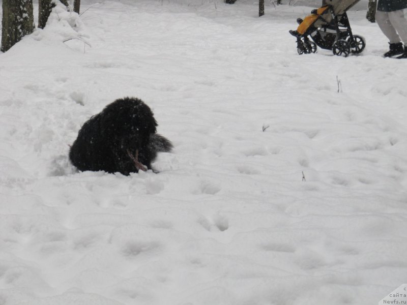 Фотография № 241614