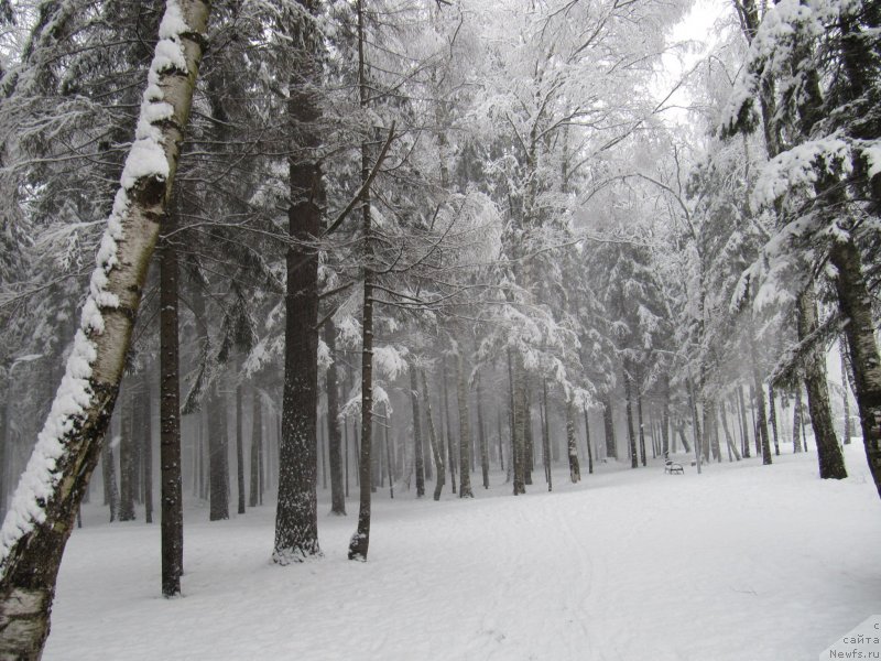 Фотография № 241615