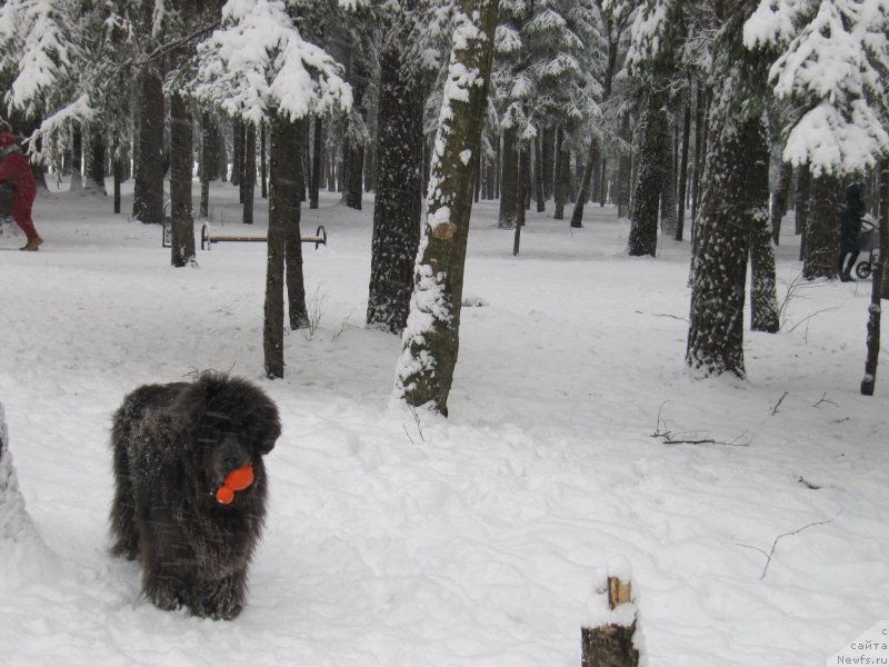 Фотография № 241616