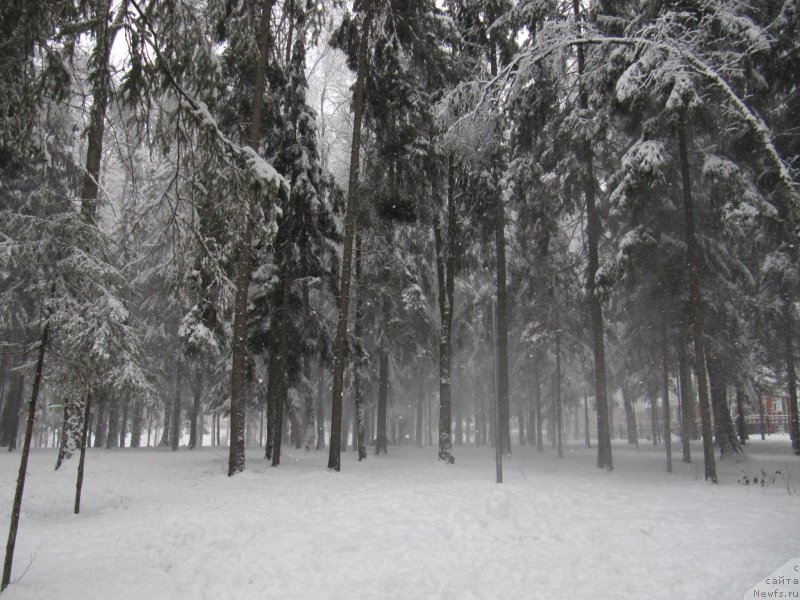 Фотография № 241618