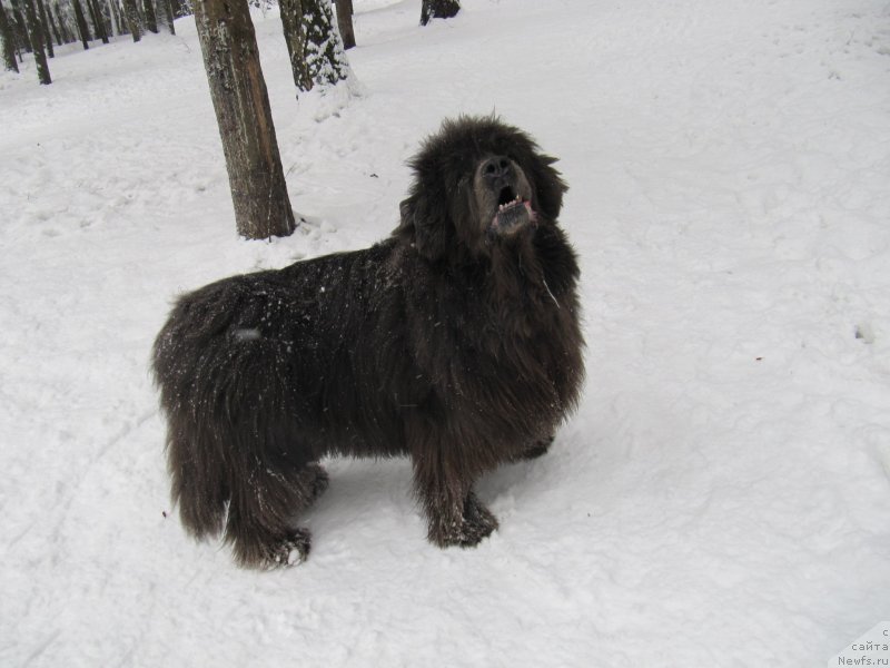 Фотография № 241619