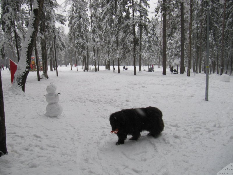 Фотография № 241620