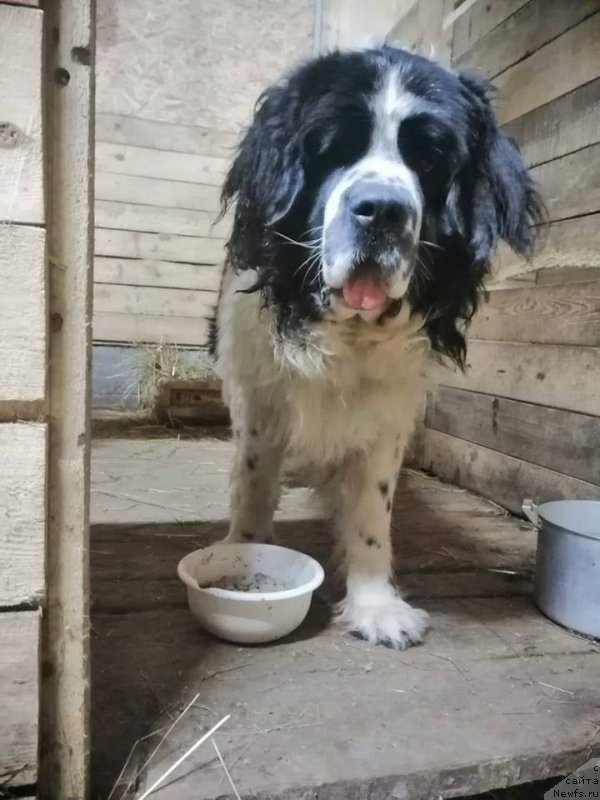 Фотография № 241623