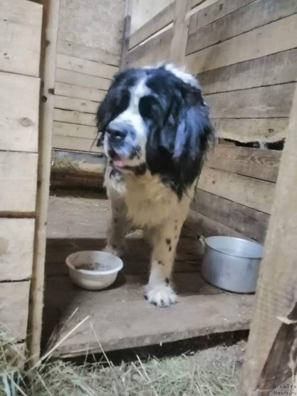 Фотография № 241624