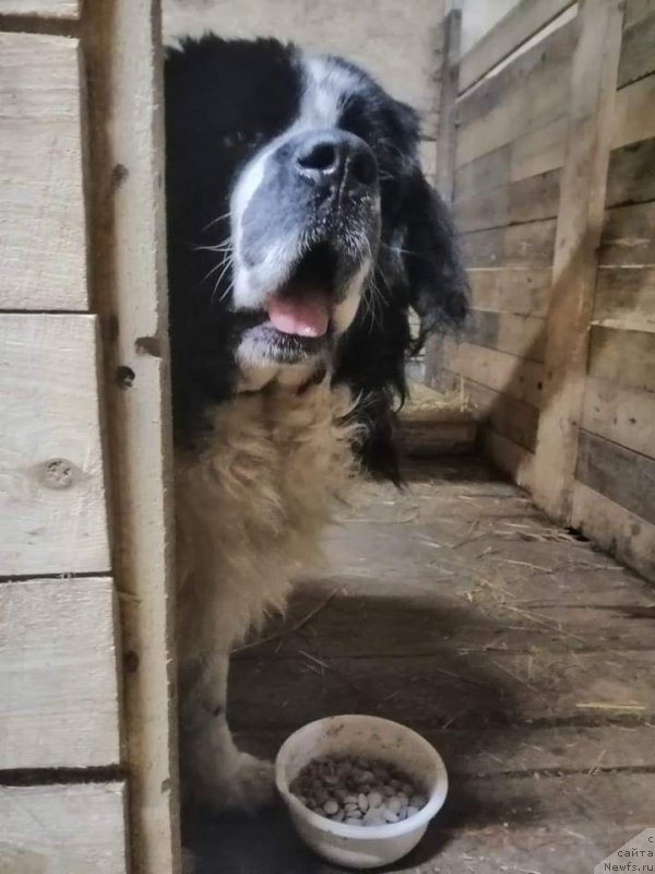 Фотография № 241625