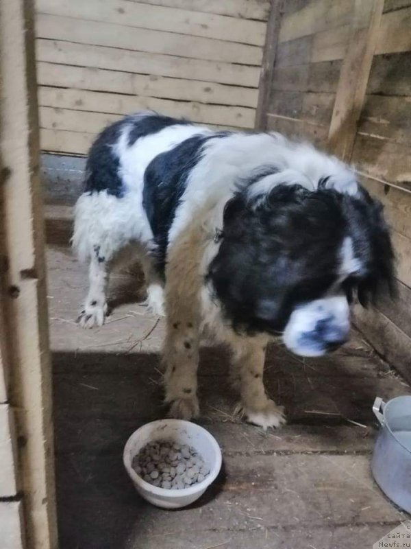 Фотография № 241626