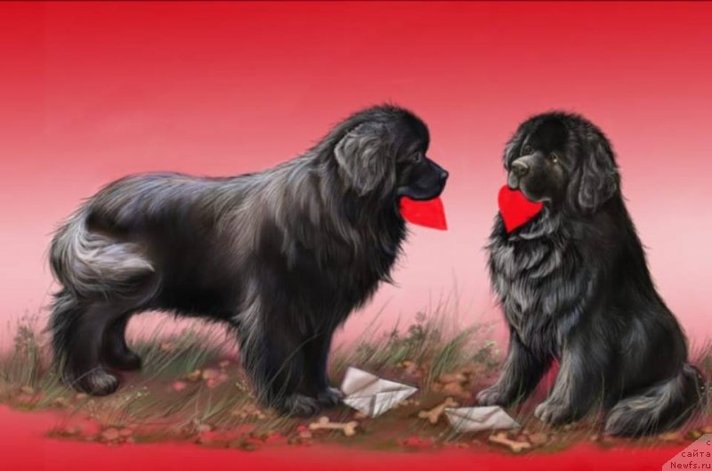 Фотография № 241627