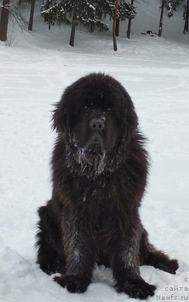 Фотография № 241641