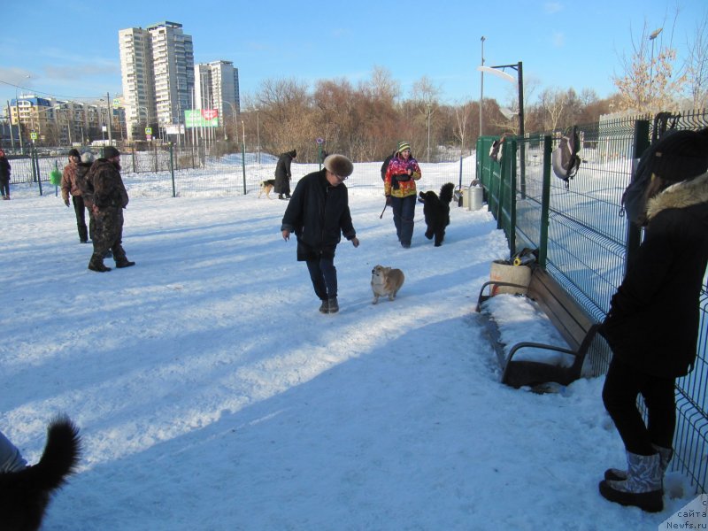 Фотография № 241642