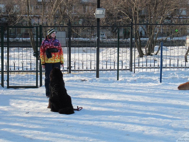 Фотография № 241643