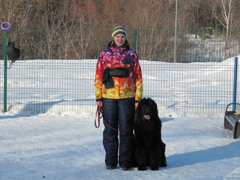 Фотография № 241644