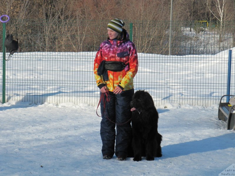 Фотография № 241645