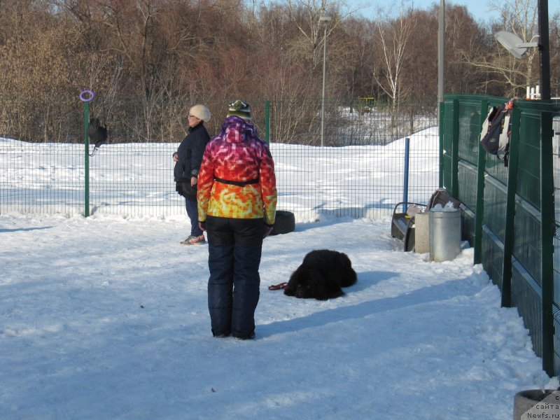 Фотография № 241646