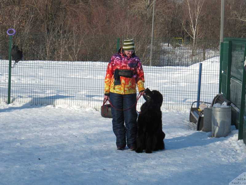 Фотография № 241647