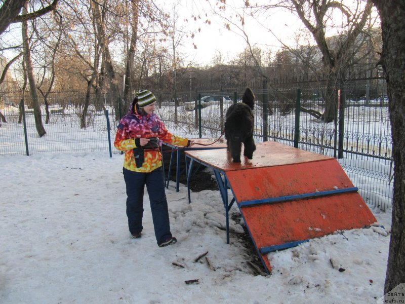 Фотография № 241648