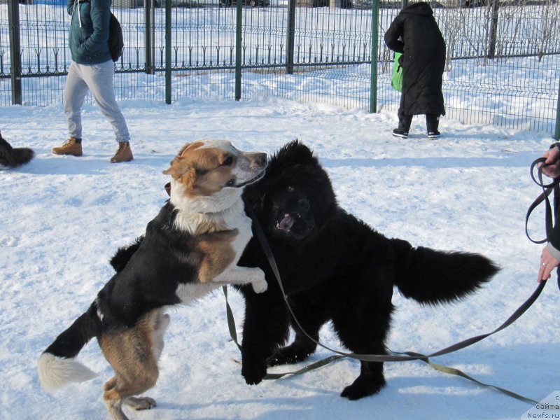 Фотография № 241649