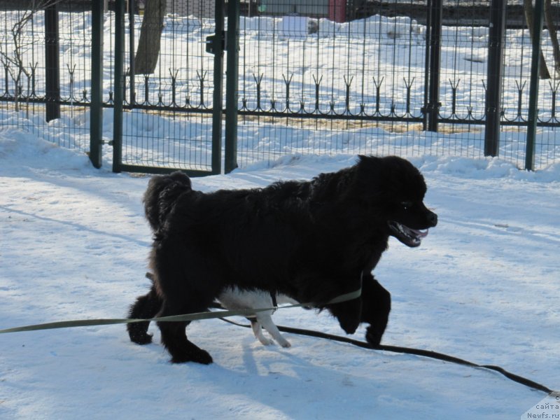 Фотография № 241650