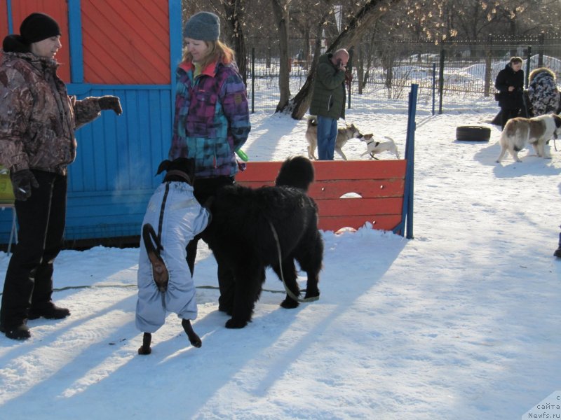 Фотография № 241651