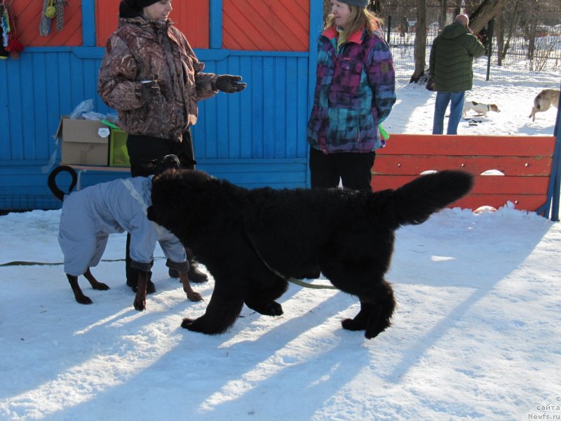 Фотография № 241652