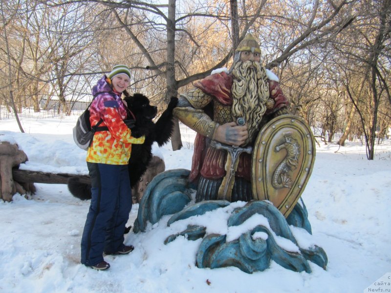 Фотография № 241653